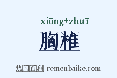 胸椎是什么意思的图片
